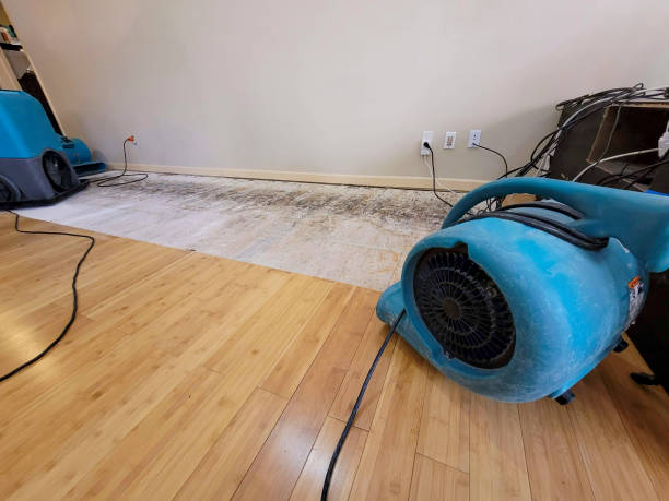 Professional Sewage Cleanup technician working in Tilton, IL